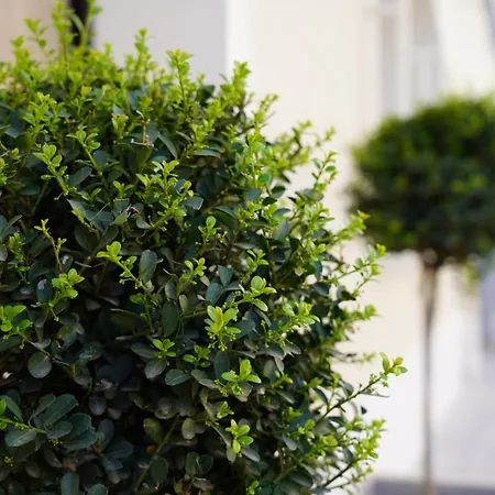 Bed & Breakfast 4rooms -