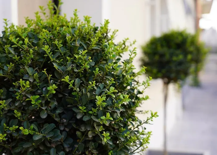 Bed & Breakfast 4rooms -